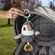 Mattel Flap &amp; Go Toucan (HNX66)