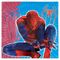 ΧΑΡΤΟΠΕΤΣΕΤΕΣ 33 Χ 33 THE AMAZING SPIDERMAN 20.ΤΕΜ 80471