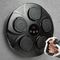 The Source - Light Up Musical Boxing Pad