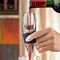 Συσκευή Αερισμού Κρασιού "Wine Decanter Original"