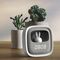 Forever Light Alarm clock with LED Bunny night light - Νυχτερινό φωτάκι / ξυπνητήρι με ενσωματωμένη φιγούρα Κούνελου