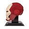 Spin Master Marvel The Infinity Saga 4D Build - Iron Man Helmet 3D Puzzle Model Kit (6069819)