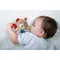 AS Baby Clementoni - Lovely Bear Comforter (1000-17786)