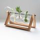 The Source - Home & Lifestyle - Propergator Vases - Ξυλινη βάση με βάζα για υδροπονική καλλιέργεια