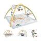 Fisher-Price® Simply Senses Newborn Gym (HRB15) Fisher-Price® Simply Senses Newborn Gym (HRB15)