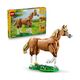 LEGO® Creator: Beautiful Horse (31166)